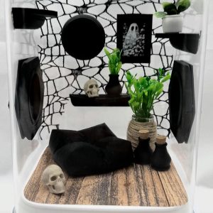 Webby Haven jumping spider enclosure, terrarium, acrylic, home